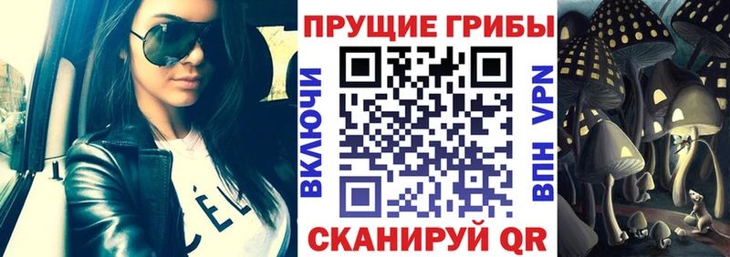 Псилоцибиновые грибы Psilocybine cubensis  Купить где  Александровское 