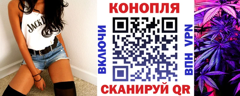 Купить где  Александровское  Бошки марихуана сатива 